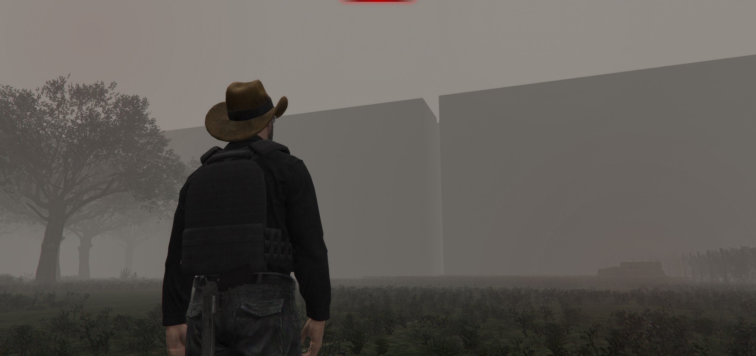 Túlélő a ködös Los Santos határában
